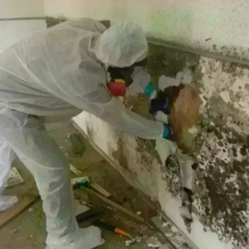 Mold Remediation and Removal in Florham Park, NJ